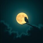 Learn English with "Can't Sleep" by Aya Down! Perfect for improving your vocabulary and pronunciation.