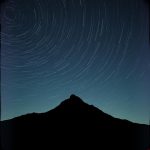 Alone in the Wind by Leyla Sade