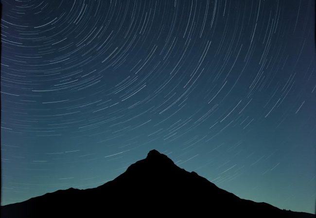 Alone in the Wind by Leyla Sade