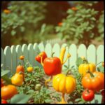 Learn English songs like "Stay Healthy!" by Aylin Skye. Sing along to practice health-related vocabulary, imperatives, and good habits while having fun!